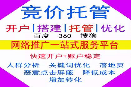 行业领先企业的SEM代运营成功之路